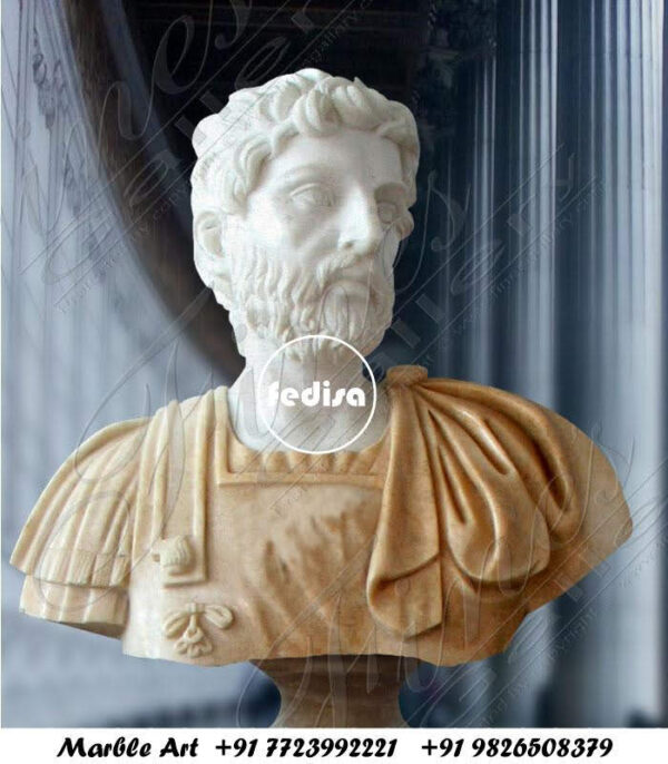Bust Marble Apollo Belvedere Bust Venus De Milo Bust