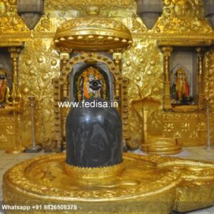 Silver Temple Door? Brass Temple Door? Mandir Darwaja Design Temple House Front Canopy Design