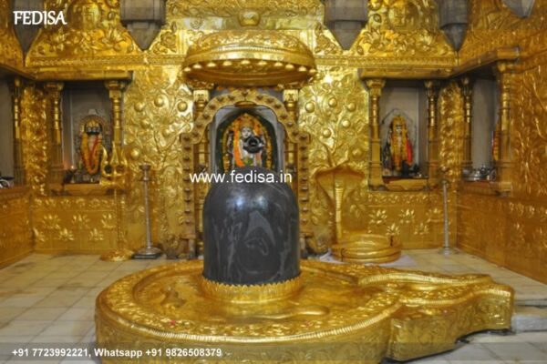 Silver Temple Door? Brass Temple Door? Mandir Darwaja Design Temple House Front Canopy Design